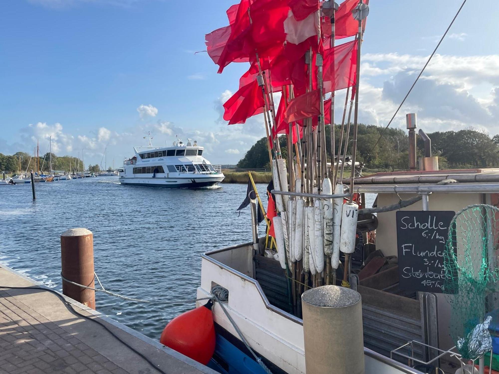 Ruegenferienhaus - Schaprode Hafen エクステリア 写真